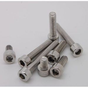 The Enduring Shine: A Look at Stainless Steel Screw插图1