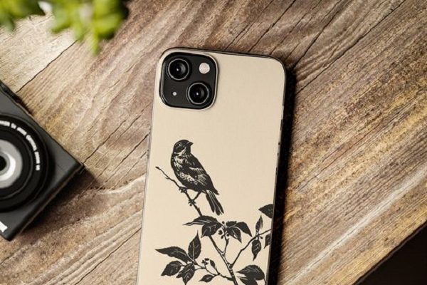 Find the best phone cases