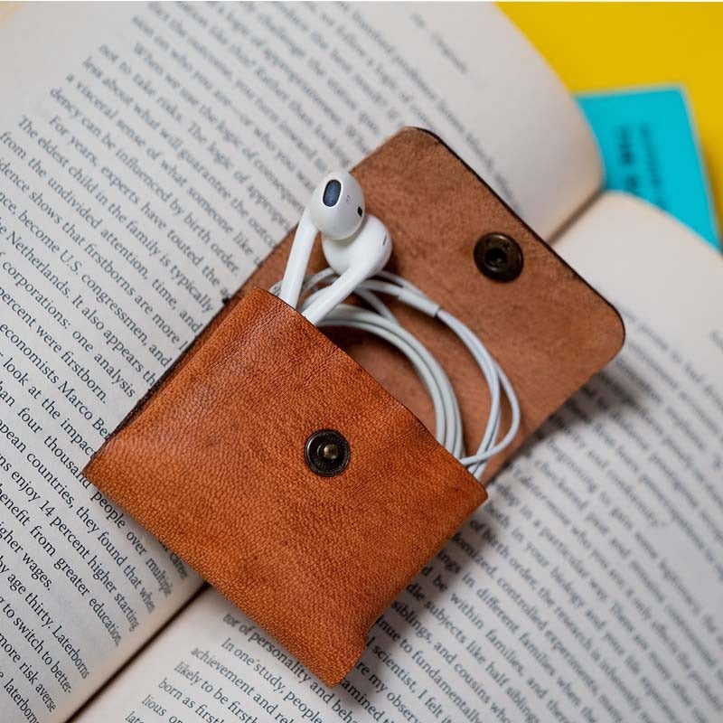 earphone case